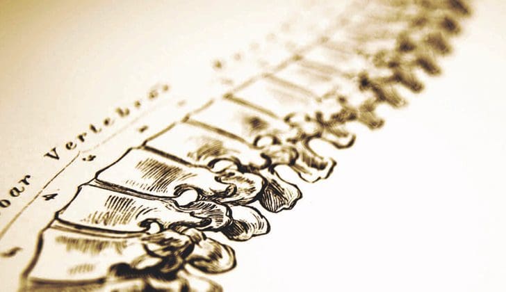 The American Chiropractic Care History