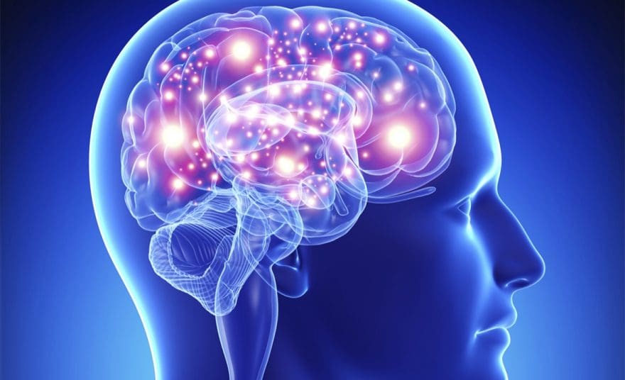 SCI neurons firing