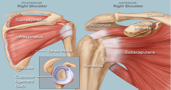 TheCauseofShoulderInjuriesDuringCarAccidents ElPasoChiropractor