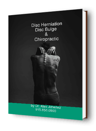 Disc Herniation Disc Bulge Chiropractic Ebook Cover