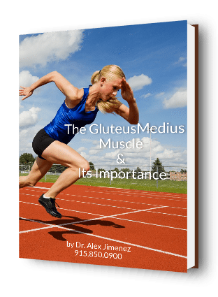 The Gluteus Medius After Injury Ebook Cover