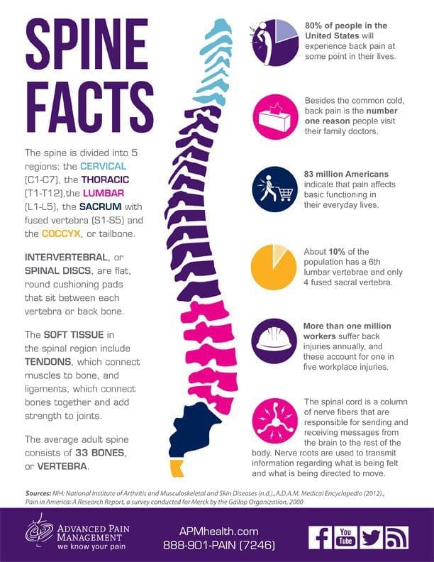 the nervous system and chiropractic el paso tx.