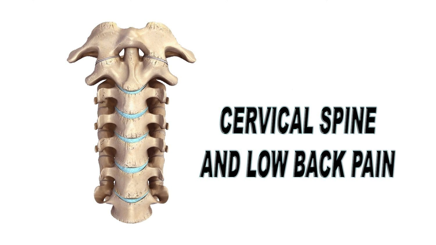 cervical spine anterior view