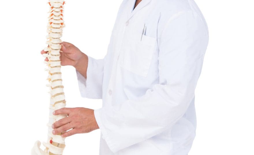 chiropractor showing spine model