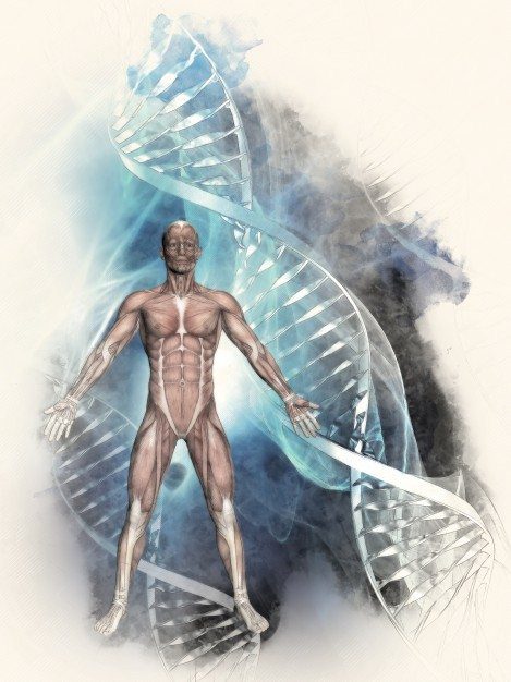 dna-helix human body