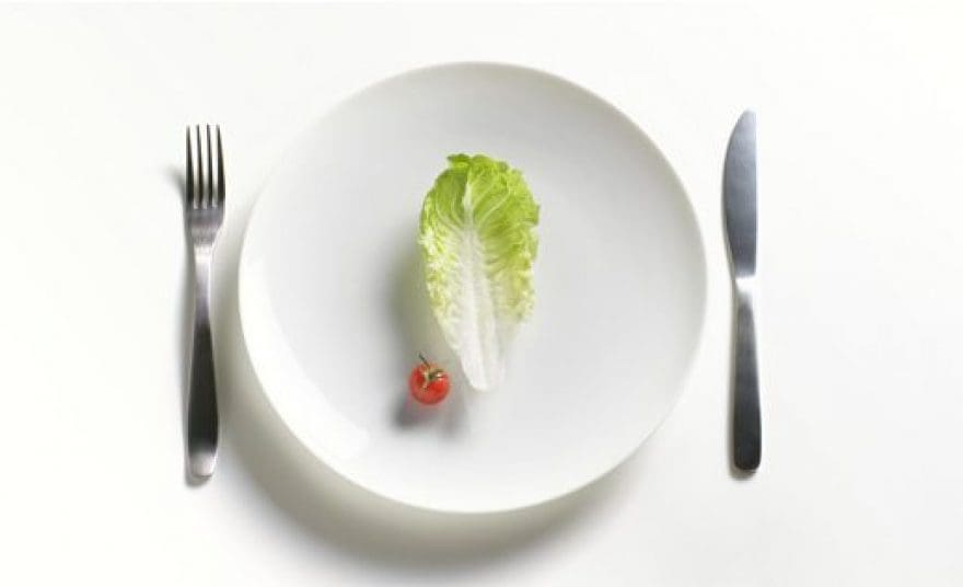 blog picture of plate, fork, knife, piece of lettuce and baby tomato