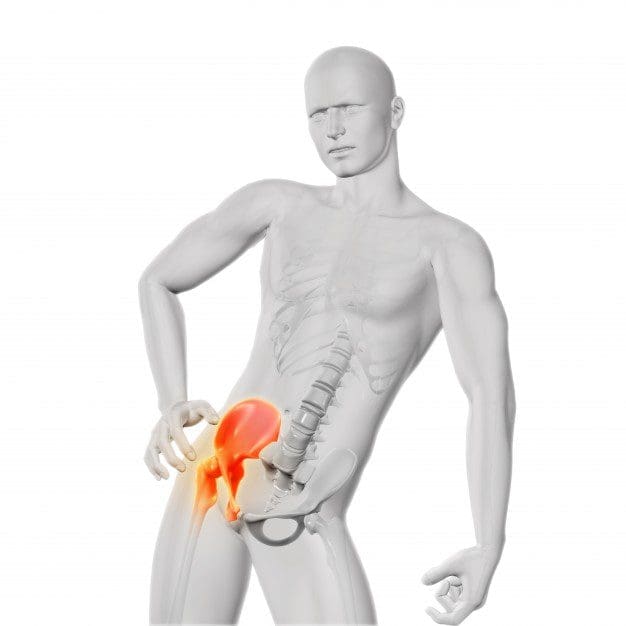 56 Measurement of the Gluteal (hip)® girth showing a side and front view