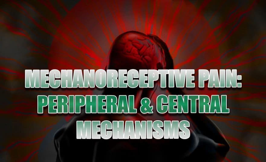 mechanoreceptive el paso tx.
