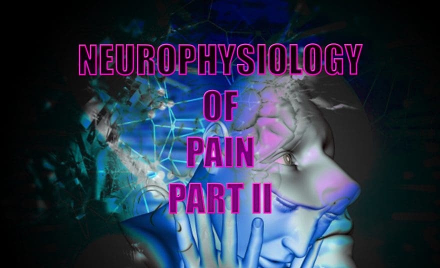 neurophysiology el paso tx.