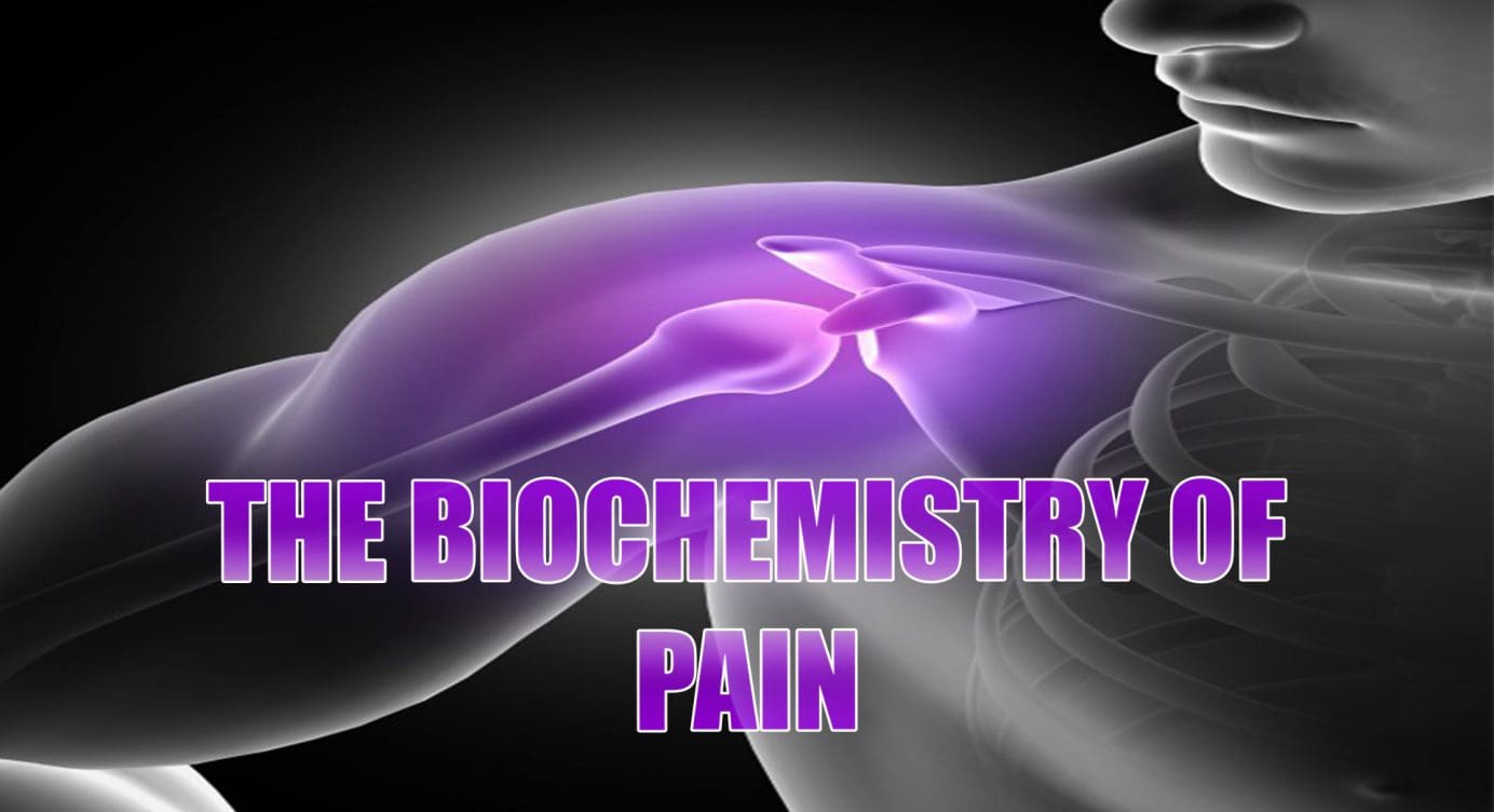 Biochemistry Of Pain