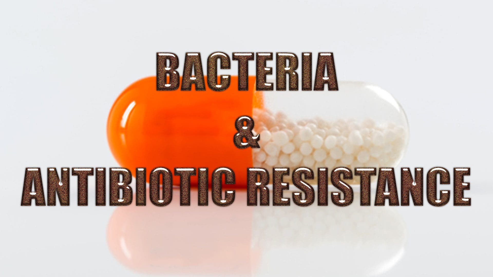 antibiotic resistance el paso tx.