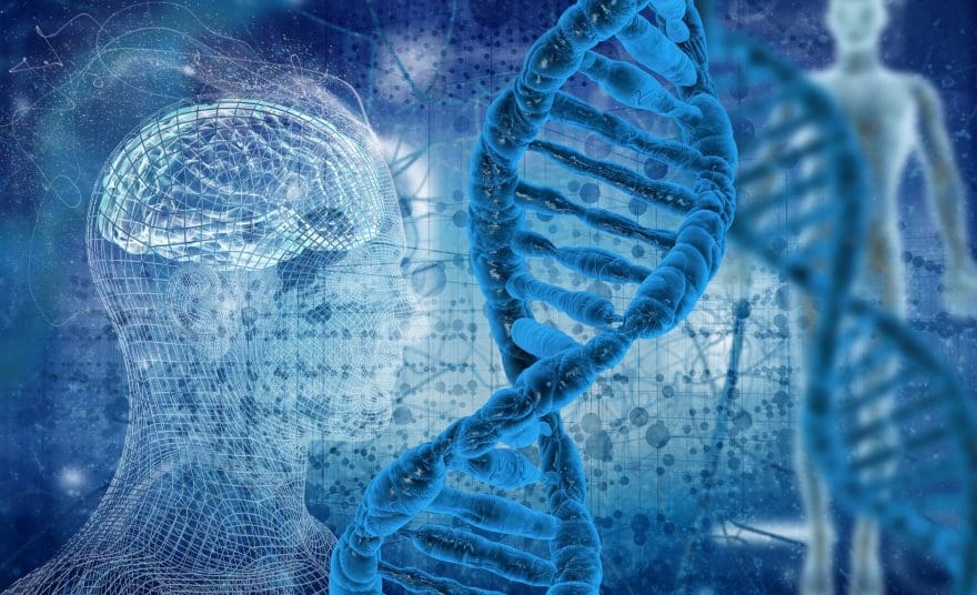 Methylation Donors For Methylation Support | El Paso, TX Chiropractor