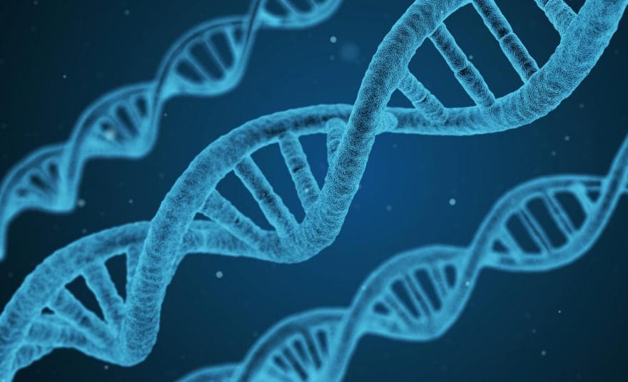 The Importance Of Methylation Support | El Paso, TX Chiropractor