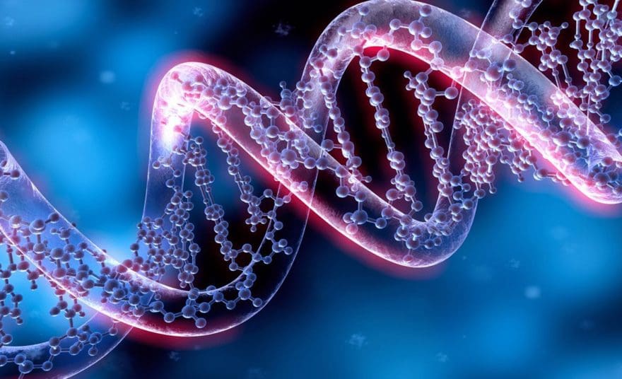 When Methylation Goes Wrong Part 2 | El Paso, TX Chiropractor