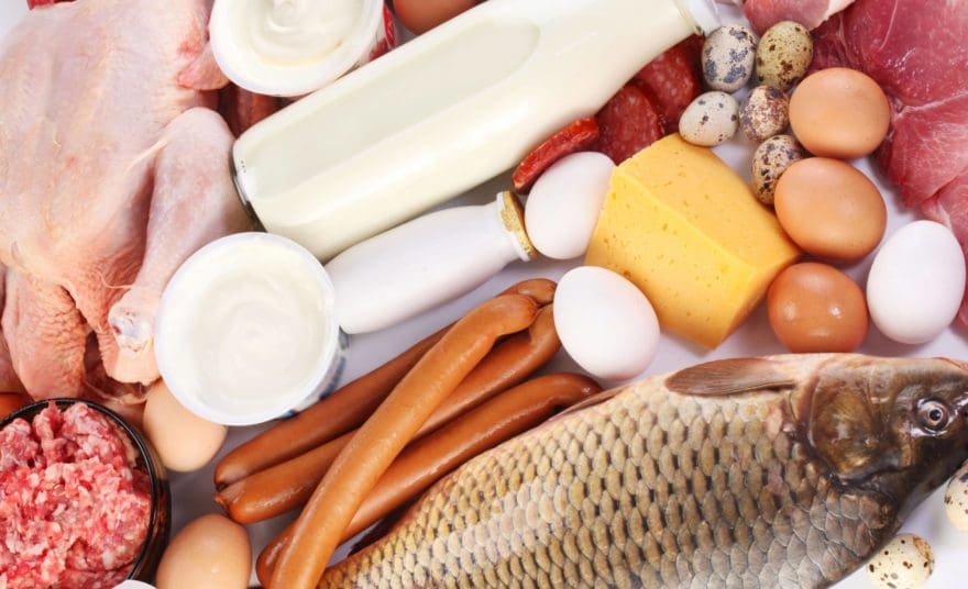 What to Eat to Improve DNA Methylation Part 2 | El Paso, TX Chiropractor