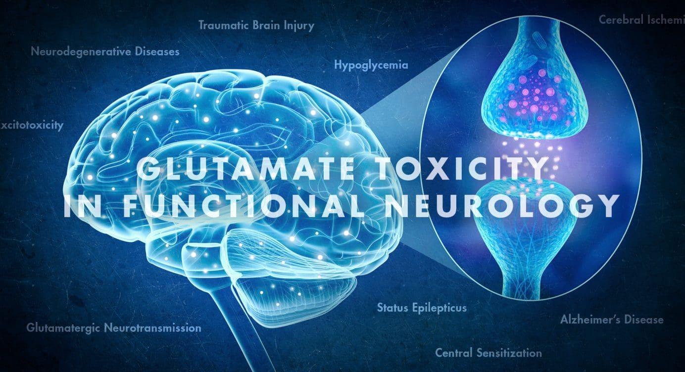Glutamate Toxicity in Functional Neurology