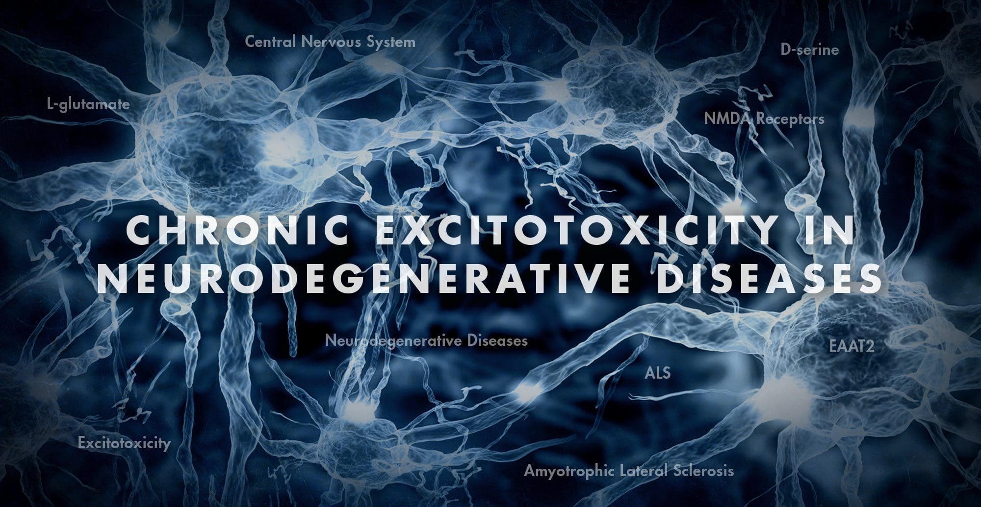 Functional Neurology: Chronic Excitotoxicity in Neurodegenerative Diseases Part 3 | El Paso, TX Chiropractor
