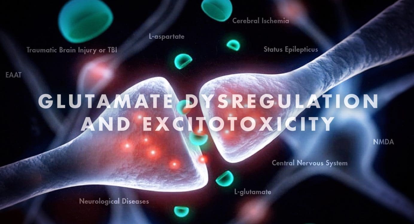 Functional Neurology: Glutamate Dysregulation and Excitotoxicity