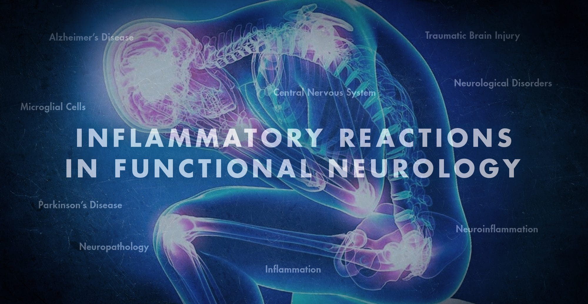Inflammatory Reactions in Functional Neurology | El Paso, TX Chiropractor