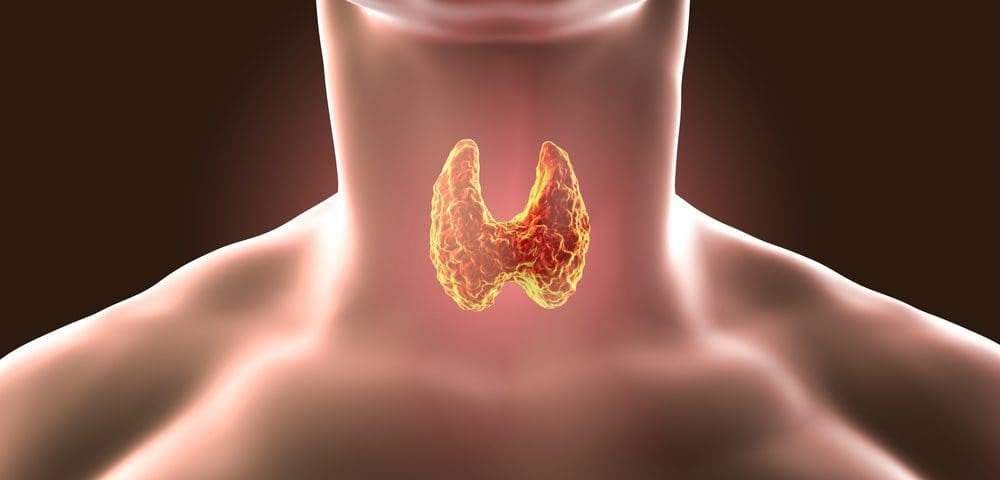The-Prevalence-of-Autoimmune-Disease-on-the-Thyroid