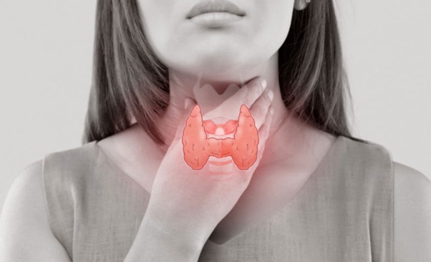 Functional Neurology: Obesity and Thyroid Dysfunction | El Paso, TX Chiropractor