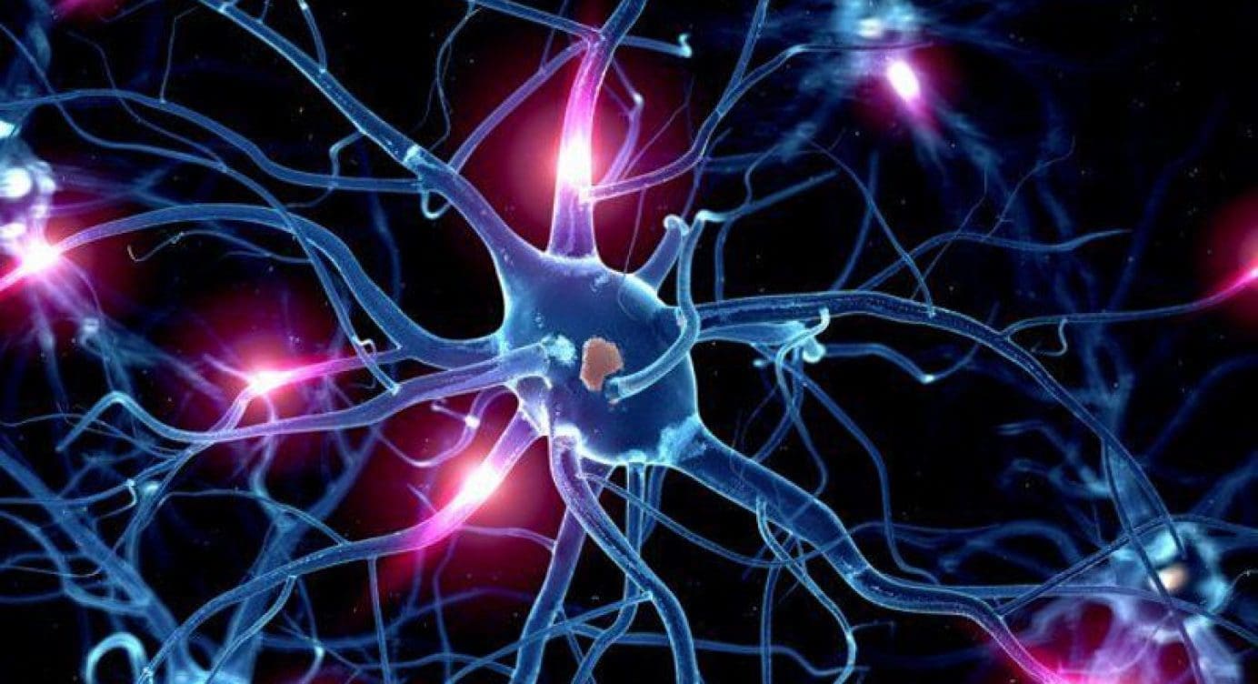 Functional Neurology: Serotonin and Brain Health