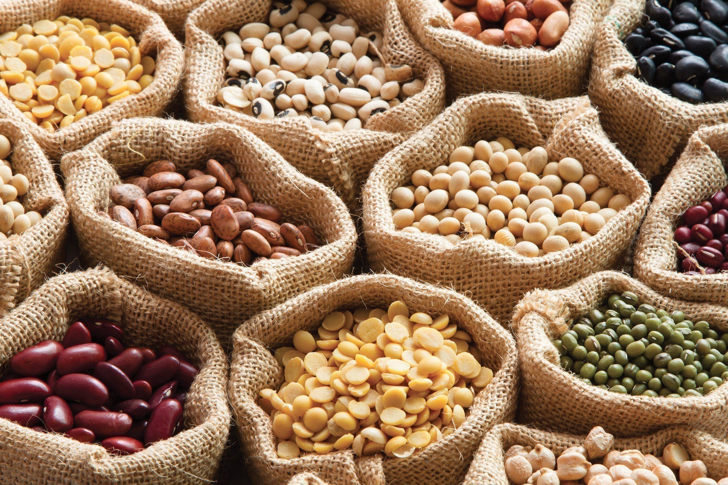 Safe to Eat Lectins & Harmful Lectins to Avoid | El Paso, TX Chiropractor