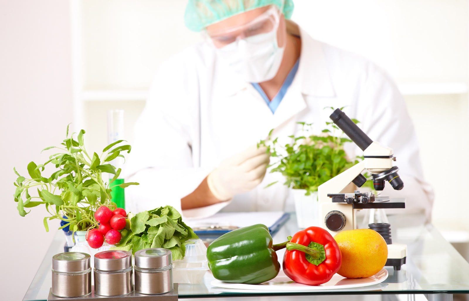 The Connection Between Nutrition & the Epigenome | El Paso, TX Chiropractor
