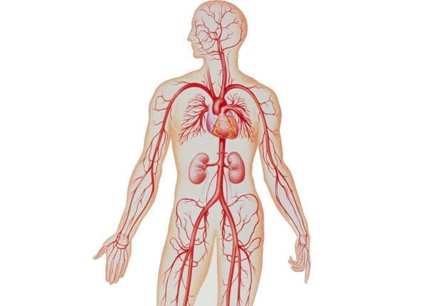 Chiropractic Inflammation Recovery Therapy for MVAs