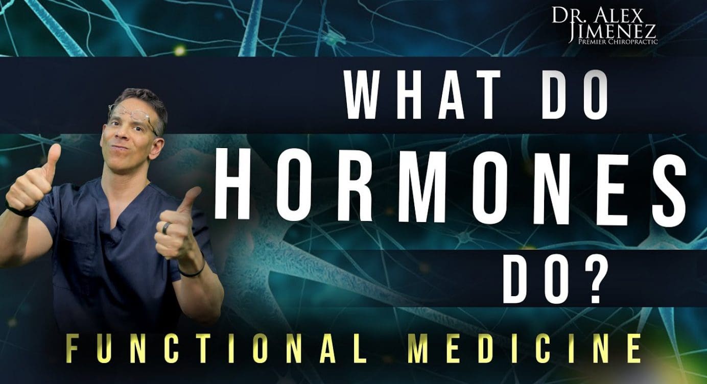 What do HORMONES do in our body? | El Paso, Tx (2021)