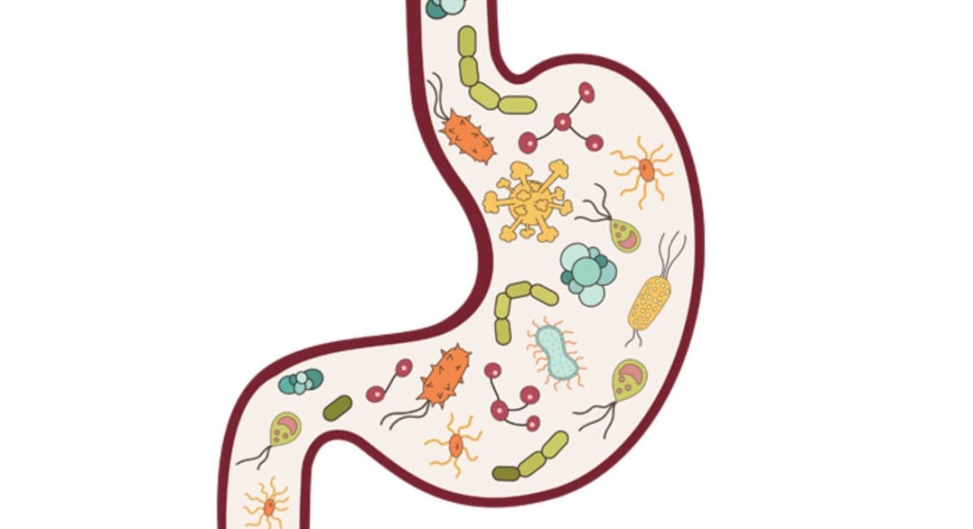 Ketosis and Microbiota: Healthy Symbiosis