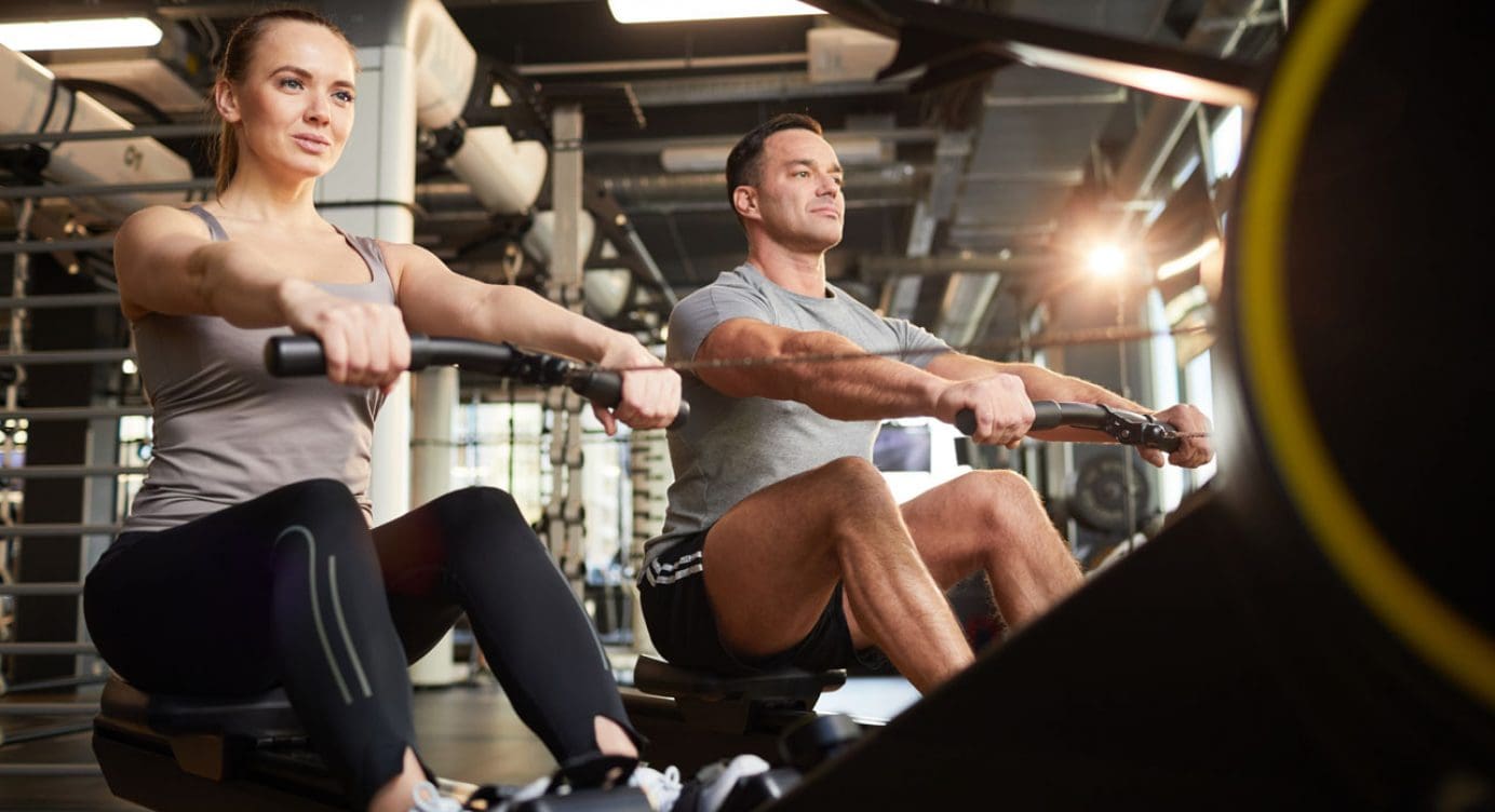Body Composition: High-Intensity Training or Bodybuilding