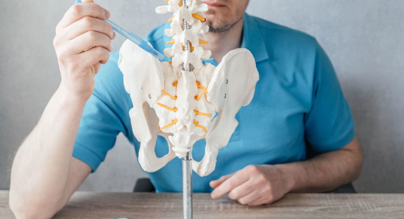 Sciatic Nerve Branches