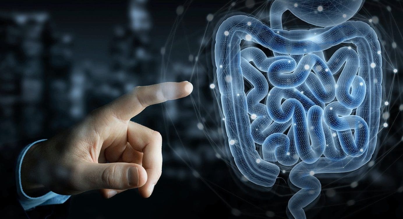 Autonomic Functions Of The Gut | Part 1