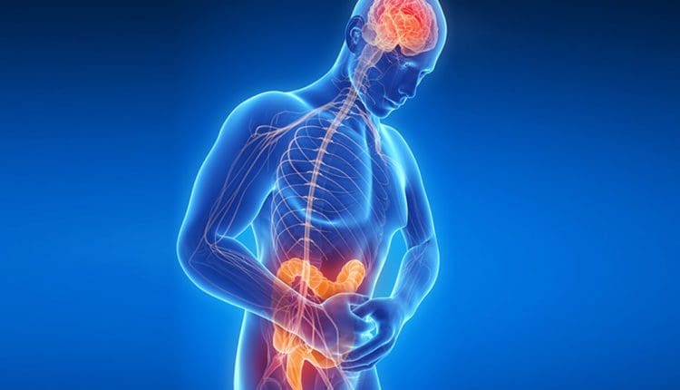 Gut Microbiome Musculoskeletal Health for Injuries