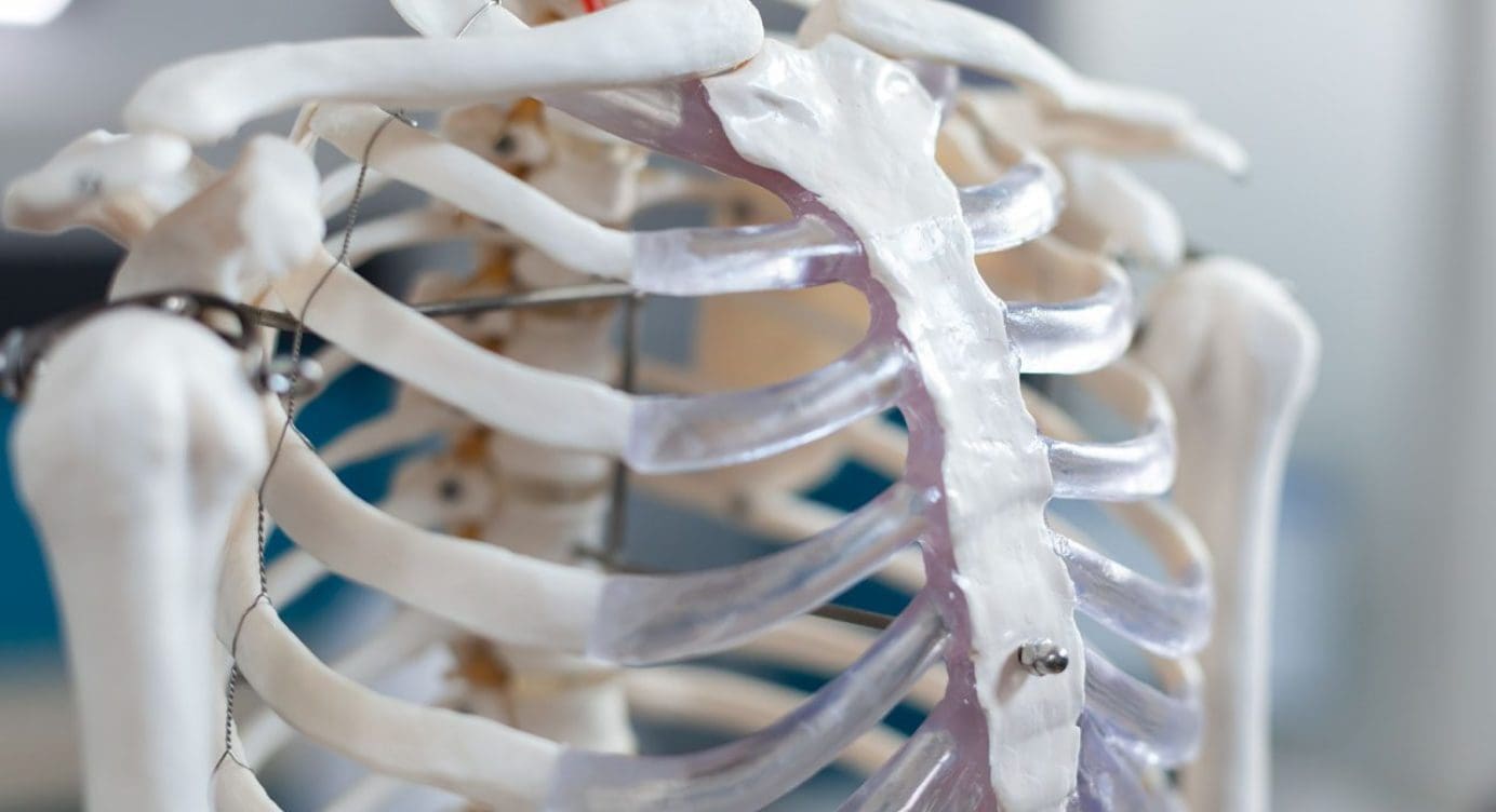 Rib Misalignment: Chiropractic Therapy and Wellness