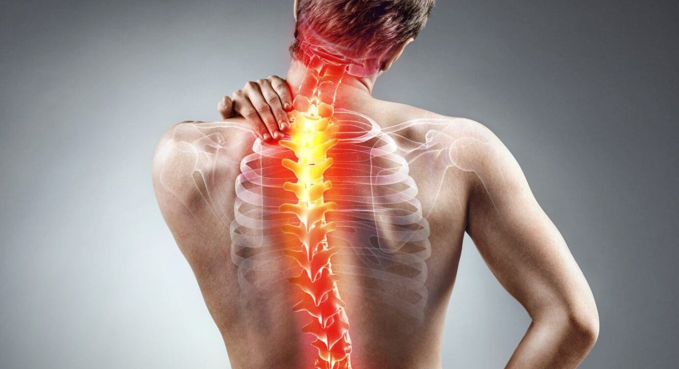 Comprehensive Decompression-Reducing Spinal Disc Pressure Low Back Guide