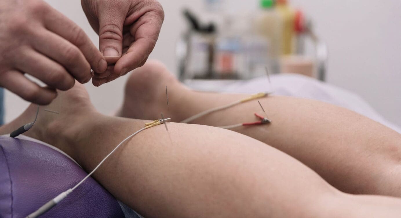 Paraspinal Muscles and Lower Back Stabilization