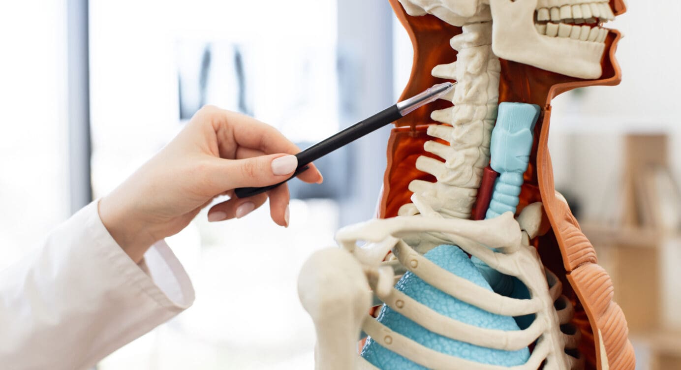 Musculoskeletal Ligament Injuries from Automobile Accidents